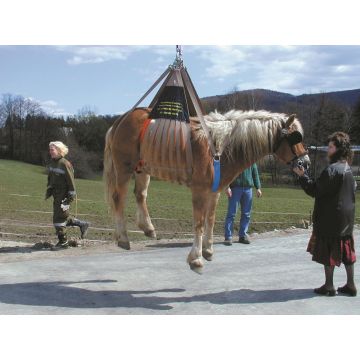 Harnais de levage pour chevaux