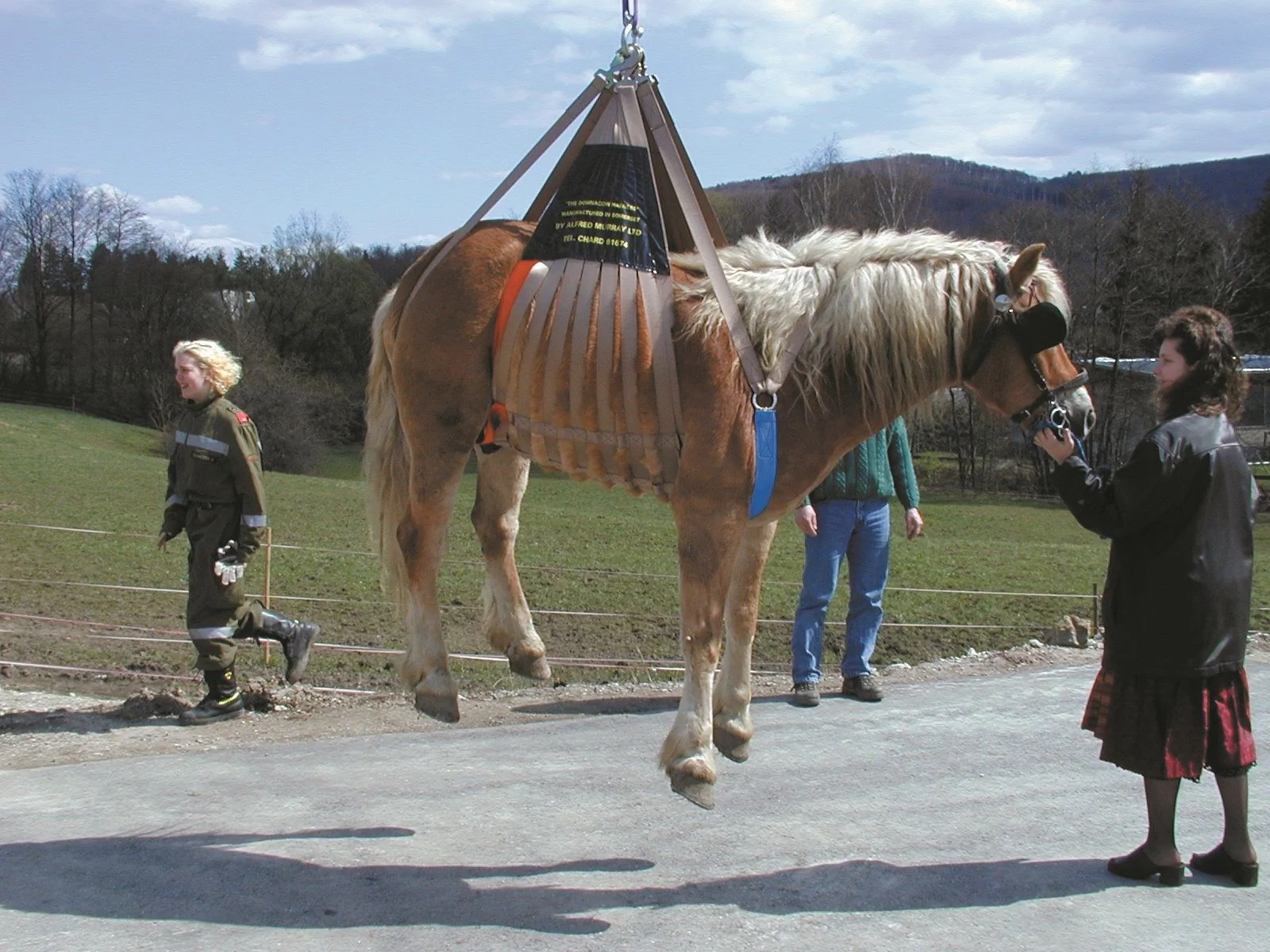 Harnais de levage pour chevaux